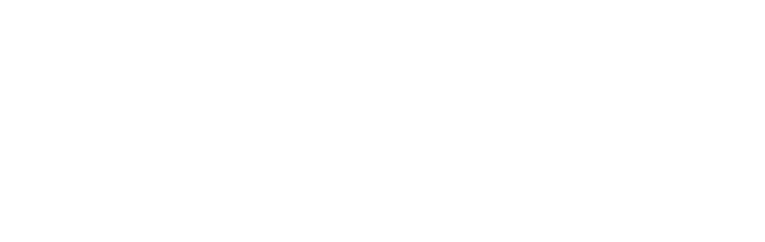 Dunbar Storage Solutions logo